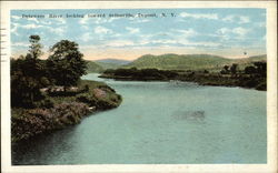 Delaware River Looking Toward Stilesville Deposit, NY Postcard Postcard