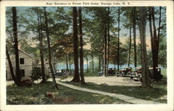 Rear Entrance to Forest Park Camp Postcard