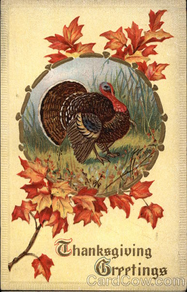 Thanksgiving Greetings Turkeys