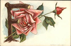 Red Rose Postcard