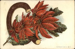 Poinsettia Alphabet Letters Postcard Postcard