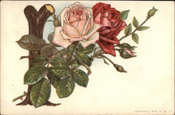 Roses Alphabet Letters Postcard Postcard