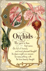 Orchids Postcard