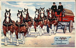 The Wilson & Co. Six Horse Hitch of Clydesdales Postcard