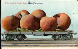 A Car Load of Peaches from California Exaggeration Postcard Postcard