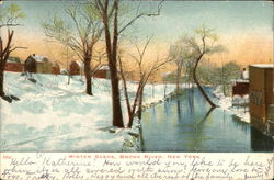 Winter Scene on the Bronx River Postcard