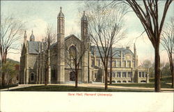 Harvard University - Gore Hall Postcard