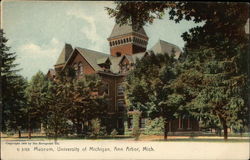 Museum, University of Michigan Postcard