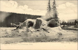 Grotto Geyser at Yellowstone Park Postcard