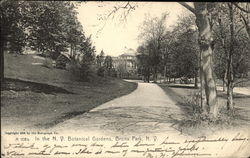 In the Botanical Gardens Postcard