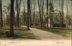 Grove Park Elmira, NY Postcard Postcard