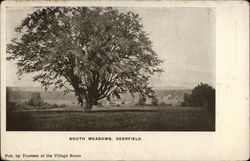 South Meadows View Postcard