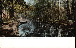 Creek leading to Norumbega Tower on the Charles River Postcard