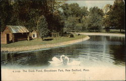 Brooklawn Park - The Duck Pond New Bedford, MA Postcard Postcard