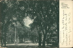 Main Street "Campello" Postcard