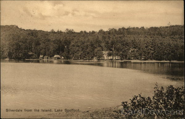 Silverdale View from Island on Lake Spofford Spofford Lake, NH