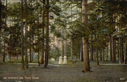 Fern Park Old Orchard Beach, ME Postcard Postcard