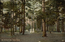 Fern Park Old Orchard Beach, ME Postcard Postcard