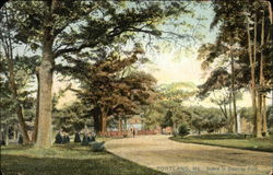 Scene in Deering Park Portland, ME Postcard Postcard