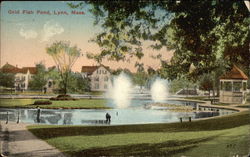 Gold Fish Pond Postcard