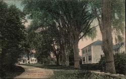 Street View Postcard