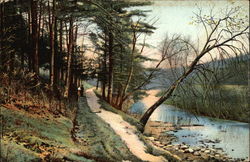 Lovers Lane Postcard