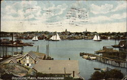 Harbor View Postcard