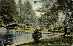 View in Elm Park Worcester, MA Postcard Postcard