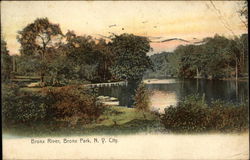 Bronx River at Bronx Park Postcard