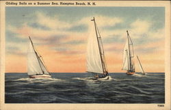 Gliding Sails on a Summer Sea Postcard