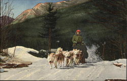 A Team of Ed Clark's Eskomo Sled Dogs in Action Postcard