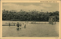 Bathing Scene Postcard