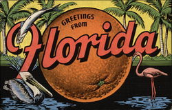 Greetings from Florida Large Letter Postcard Postcard