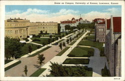 Scene on Campus, University of Kansas Postcard