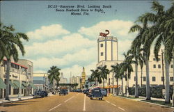 Biscayne Blvd. Looking South - Sears Roebuck Store to Right Postcard