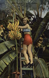 Bananas in Sunken Gardens in "The Sunshine City" Postcard