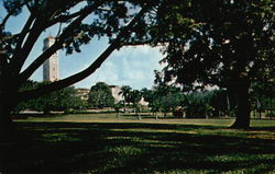 University of Puerto Rico - Campus and Tower Rio Piedras, PR Postcard Postcard