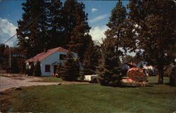 McGarvey's Shamrock Motel Postcard