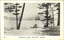 Wilson Lake View Wilton, ME Postcard Postcard