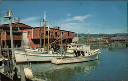 Fishing Boats Postcard