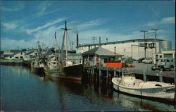 Fishing Boats Postcard