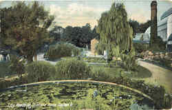 Lily Ponds At Soldiers Home Postcard