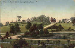 View In Forest Park Postcard