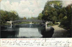 Bridge Over Lake In Washington Park Postcard