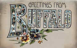 Greetings From Buffalo Postcard