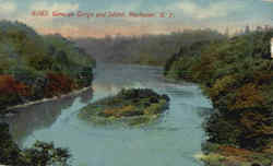 Genesee Gorge And Island Postcard