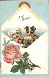 Best Wishes Dogs Postcard Postcard