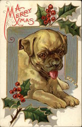 A Merry Christmas Postcard Postcard