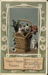 Cats in a Basket - Many Happy Returns Postcard