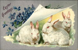 Easter Greetings Postcard